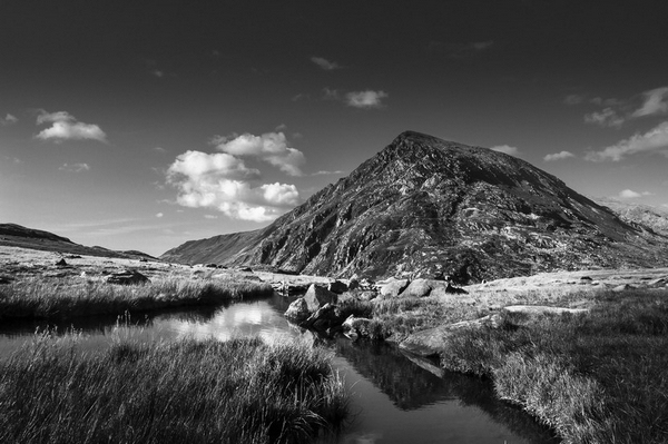 grey scale image